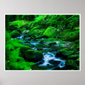 Mossy Forest Stream in Killarney National Park Poster (Voorkant)