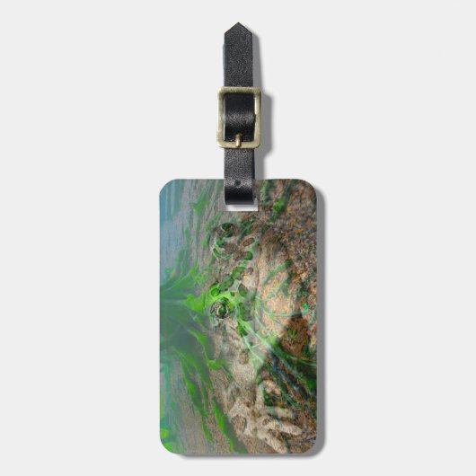 Mossy Frog Bagagelabel (Voorkant verticaal)