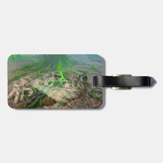 Mossy Frog Bagagelabel (Achterkant horizontaal)
