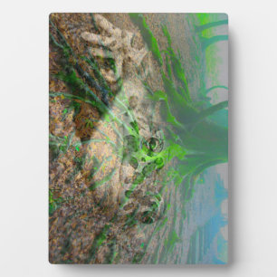 Mossy Frog Fotoplaat