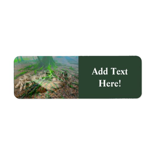 Mossy Frog Label (Voorkant)