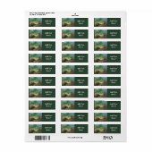 Mossy Frog Label (Full Sheet)