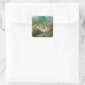 Mossy Frog Vierkante Sticker (Tas)