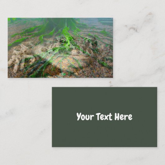 Mossy Frog Visitekaartje (Voorkant / Achterkant)