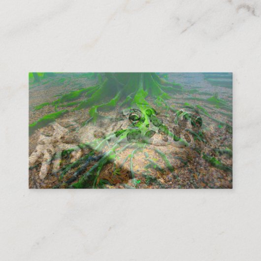 Mossy Frog Visitekaartje (Voorkant)
