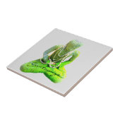 Mossy Green Buddha Meditating Thunder_Cove Tegeltje (Zijkant)