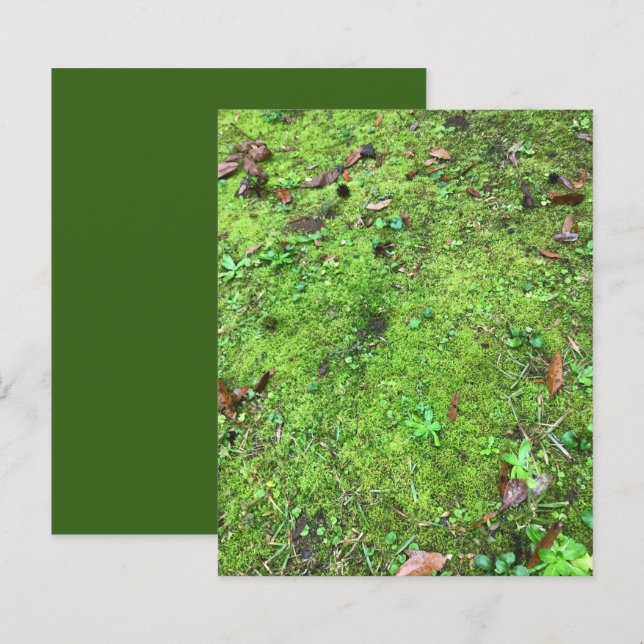 Mossy Green Woodlands Scrapbook Paper (Voorkant / Achterkant)