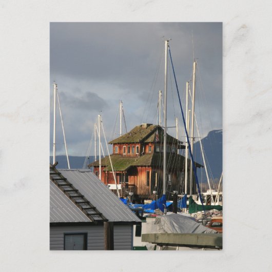 Mossy Habour Briefkaart (Voorkant)