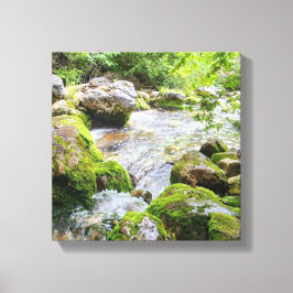 Mossy Mountain Stream – Pristine Forest River Canv Canvas Afdruk