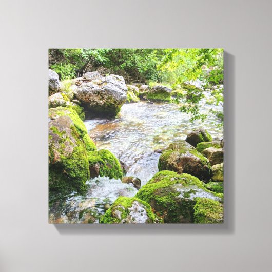 Mossy Mountain Stream – Pristine Forest River Canv Canvas Afdruk (Voorkant)