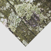 Mossy Oak Trunk Tissuepapier (Detail)