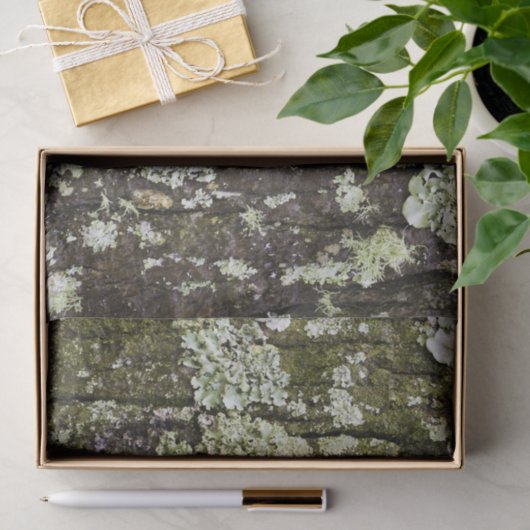 Mossy Oak Trunk Tissuepapier (Geschenk)