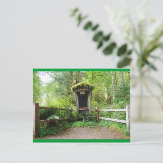 Mossy Phone Booth - Hoh Rain Forest Briefkaart (Staand voorkant)