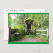 Mossy Phone Booth - Hoh Rain Forest Briefkaart (Voorkant / Achterkant)