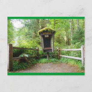 Mossy Phone Booth - Hoh Rain Forest Briefkaart
