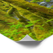 Mossy Rocks And Trees Line Eagle Creek Poster (Hoek)