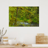 Mossy Rocks And Trees Line Eagle Creek Poster (Keuken)