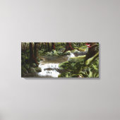 Mossy Rocks Canvas Afdruk (Voorkant)