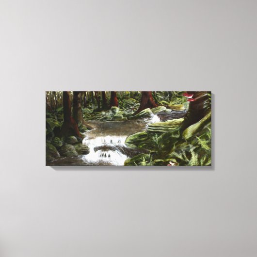 Mossy Rocks Canvas Afdruk (Voorkant)