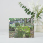 Mossy Rocks op de bank Briefkaart (Staand voorkant)