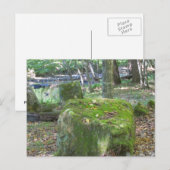 Mossy Rocks op de bank Briefkaart (Voorkant / Achterkant)