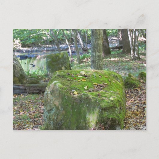 Mossy Rocks op de bank Briefkaart (Voorkant)