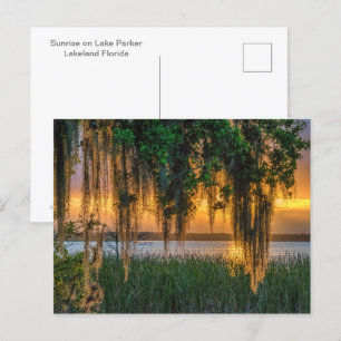 Mossy Sunrise Briefkaart