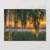 Mossy Sunrise Briefkaart (Voorkant)