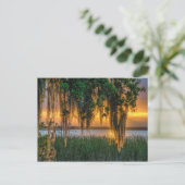 Mossy Sunrise Briefkaart (Staand voorkant)