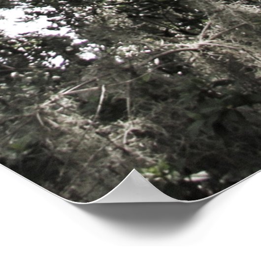 Mossy Textures 1 Poster (Hoek)