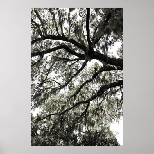 Mossy Textures 1 Poster (Voorkant)