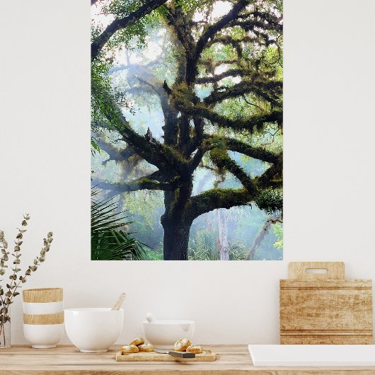 Mossy Tree in de Mist Poster (Keuken)