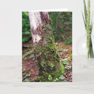 Mossy Tree-kaart Feestdagen Kaart