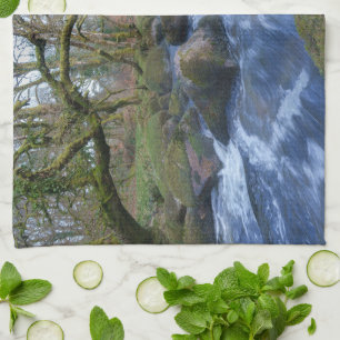 Mossy Trees en River Dart stromen bij Dartmeet Theedoek