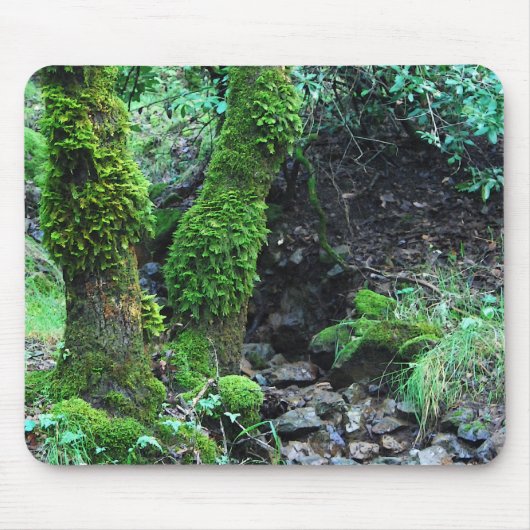 Mossy Trees Muismat (Voorkant)