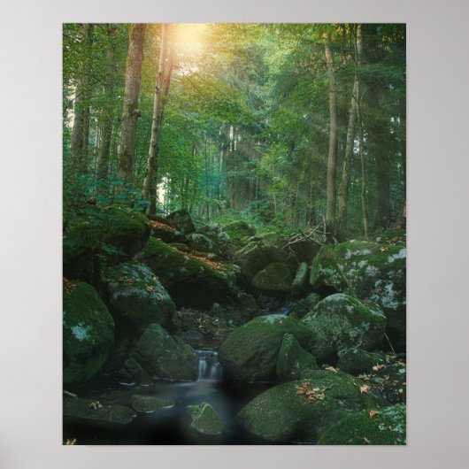 Mossy Woodland Stream Poster (Voorkant)