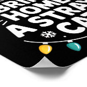 Most Likely To Bring Home A Stray Cat Funny Christ Poster (Hoek)