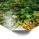 Mostar Foto Afdruk (Hoek)