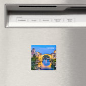 Mostar Magneet (Insitu (Vaatwasser))