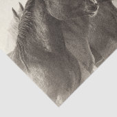  mosterangkarton tissuepapier (Detail)