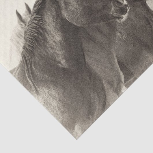  mosterangkarton tissuepapier (Detail)