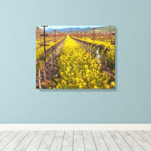 Mosterd bij Vineyard Canvas Afdruk (Insitu (Houten vloer))