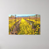 Mosterd bij Vineyard Canvas Afdruk (Voorkant)