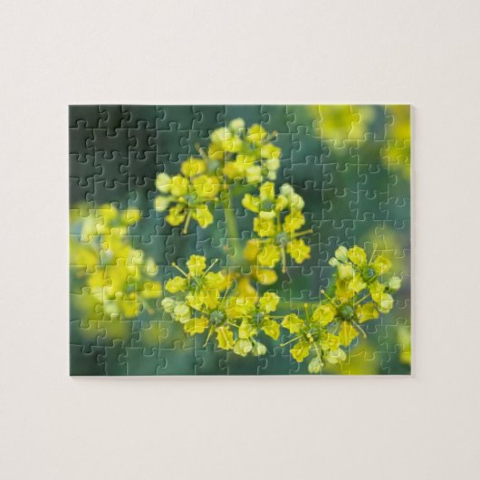 Mosterd Bloemen, Legpuzzel, 20x25 cm, 110 stuks Legpuzzel (Horizontaal)