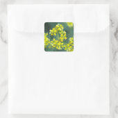Mosterd Bloemen, Sticker vel van 20, 3,8x3,8 cm (Tas)