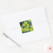 Mosterd Bloemen, Sticker vel van 20, 3,8x3,8 cm (Envelop)