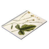 Mosterd, bord 446 uit "A Curious Herbal", publis Notitieboek (Linkerzijde)