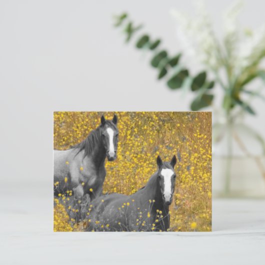 Mosterd en paarden briefkaart (Staand voorkant)
