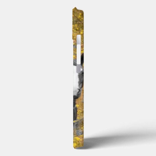 Mosterd en paarden Case-Mate iPhone case (Achterkant / Links)