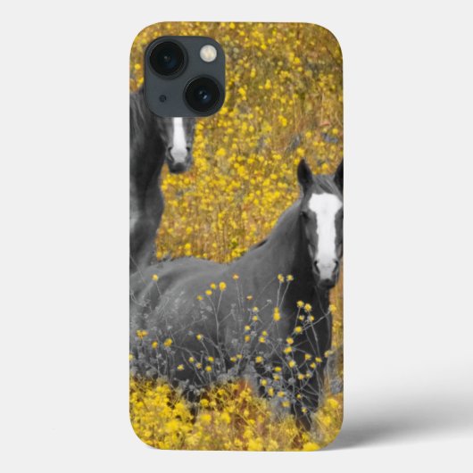 Mosterd en paarden Case-Mate iPhone case (Achterkant)